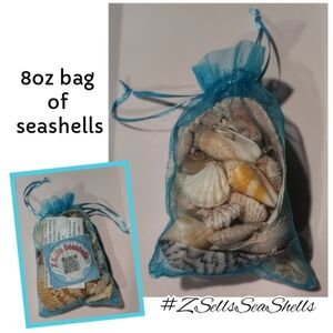 8oz Bag of Personally Hand-collected Seashells